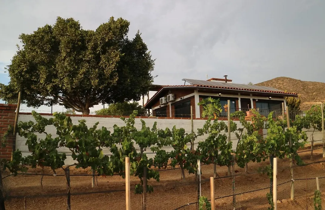Quinta Sofia Valle De Guadalupe (Adults Only)-1