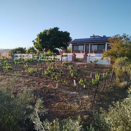 Quinta Sofia Valle De Guadalupe (Adults Only)-2